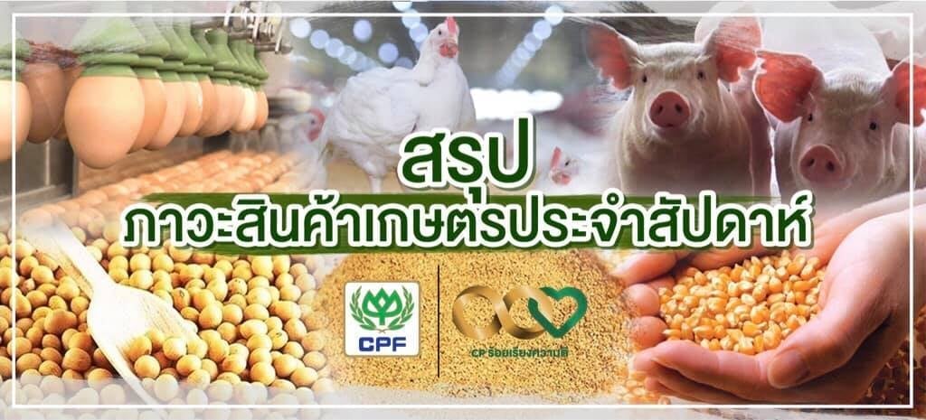 แนวโน้มสินค้าเกษตร 'ไข่ไก่' ราคาลดลง 'สุกร' ราคายืนแข็ง